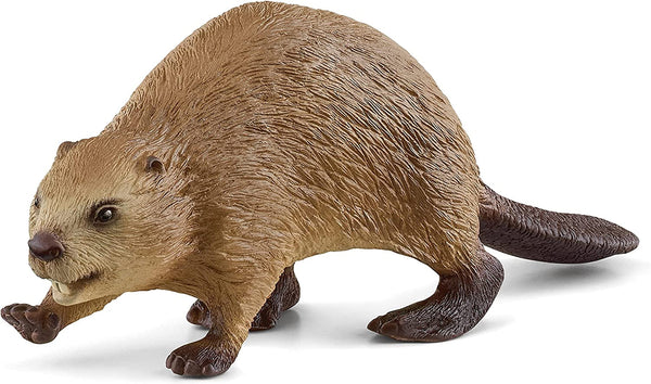 Beaver Beaver