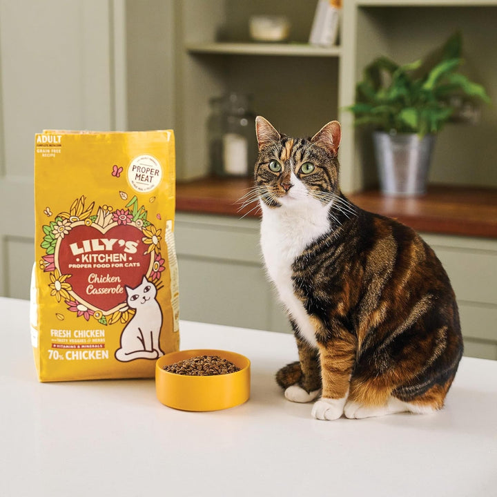 Lily'S Kitchen Hrană umedă naturală pentru pisici adulte, bol, pui - pateu, rețetă fără cereale (19 boluri X 85G)
