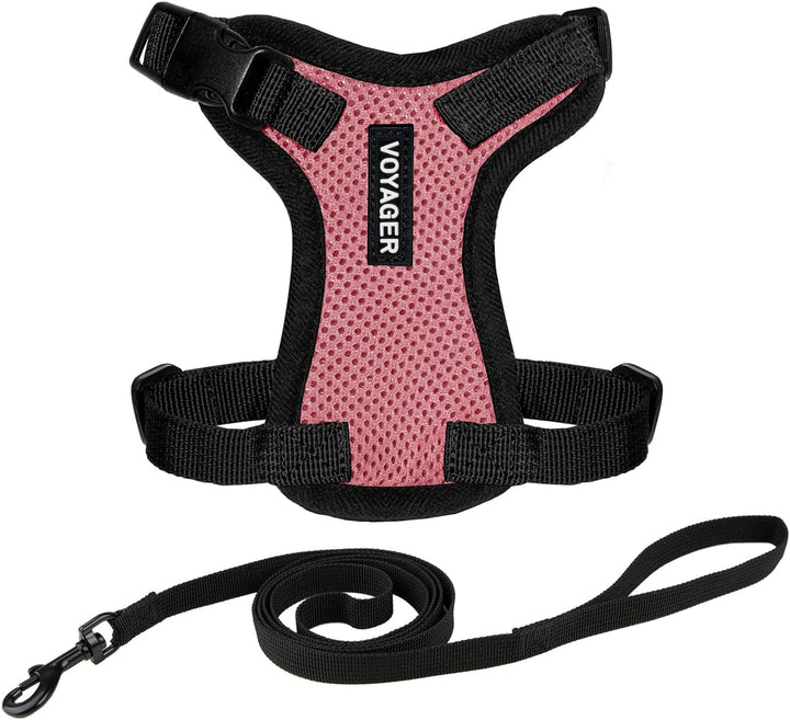 Kit Voyager, Ham anti-evadare pentru pisici cu lesă de 1,5 m, cusături reflectorizante, mâner din neopren, pentru pisici mici, medii și mari, garnitură verde lime/negru, mărimea XS