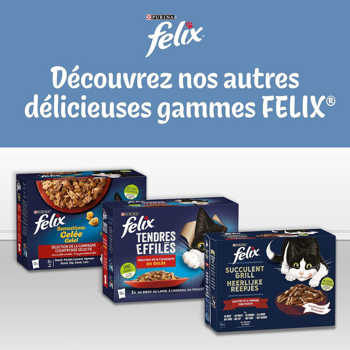 Jelly Chopped | Pisică adultă | Alegerea dintre carne de vită, somon, pui, ton | 12 X 85 G | Pungă proaspătă