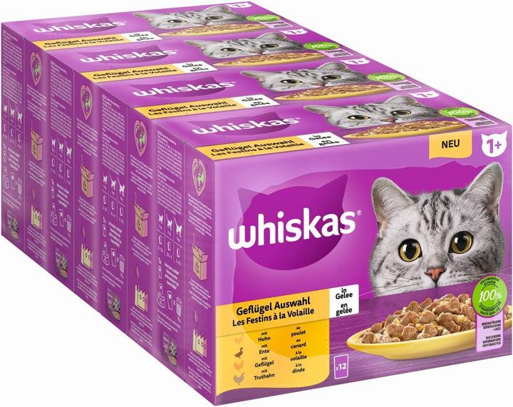Whiskas 1 + Cat Food Poultry Selection in Jelly, 12X85G (4 pachete) - Hrană umedă de înaltă calitate pentru pisici adulte în 48 de plicuri