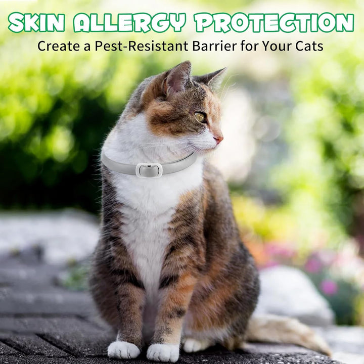 QLIGES Zgardă antipurici și căpușe pentru pisici, pachet de 4 zgărzi antipurici pentru pisici, protecție eficientă 24 de luni, protecție împotriva alergiilor cutanate, moale și confortabilă, reglabilă, impermeabilă, potrivită pentru toate pisicile