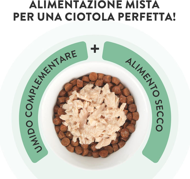 , File de ton cu aloe în jeleu, Hrană umedă complementară pentru pisici, Rețetă originală, 100% naturală, 12 cutii À 70 G