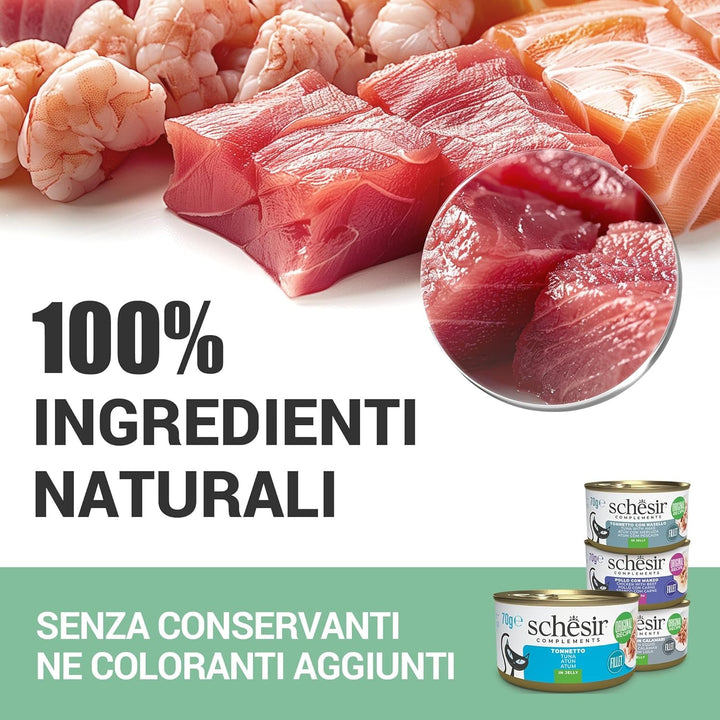 , File de ton în jeleu, Hrană umedă complementară pentru pisici, Rețetă originală, 100% naturală, 12 cutii a câte 70 g