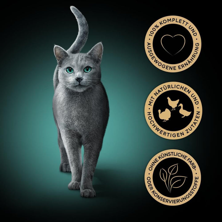 Sheba Portion Bag Wet Cat Food Multipack Fresh & Fine in Sauce With Chicken And Turkey, 6X6X50G - Hrană delicioasă pentru pisici în sos pentru pisici răsfățate