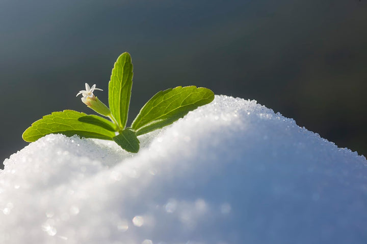 Stevia 1:1 (Erythrit - Stevia) - Natürlicher Zuckerersatzstoff, 1000 G