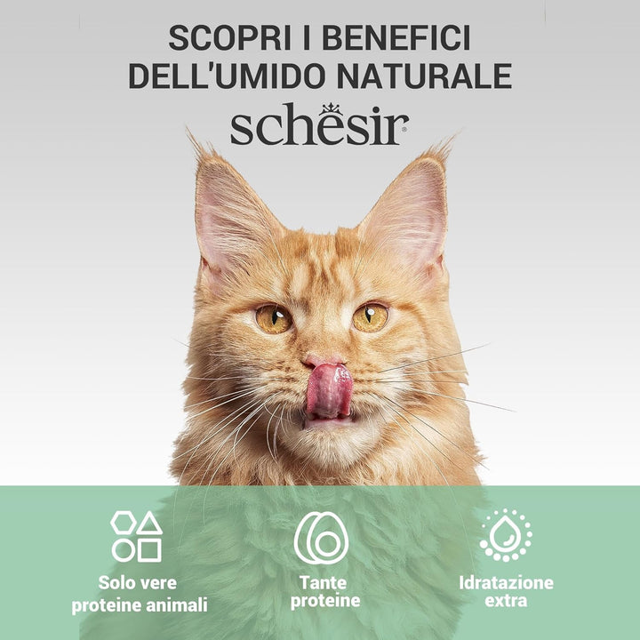 , File de pui cu șuncă în jeleu, Hrană umedă complementară pentru pisici, Rețetă originală, 100% naturală, 12 pungi a câte 70 g