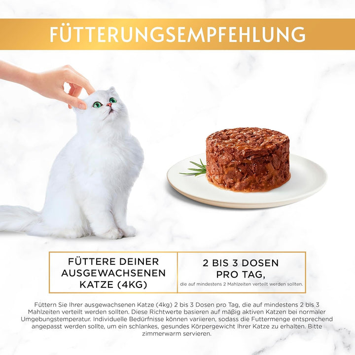 Gourmet Gold Refined Ragout Duetto Hrană umedă pentru pisici, somon și pollock, 12Pack (12 X 85G)