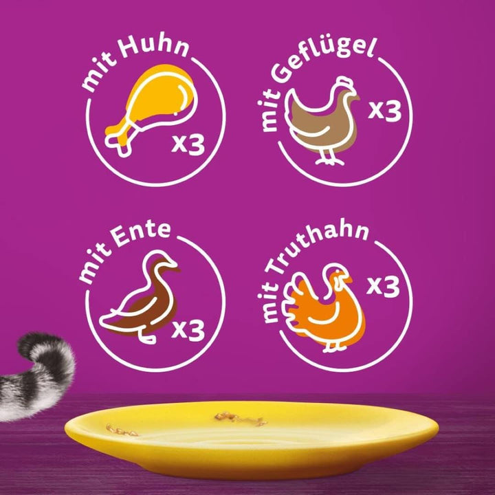 Whiskas 1 + Cat Food Poultry Selection in Jelly, 12X85G (4 pachete) - Hrană umedă de înaltă calitate pentru pisici adulte în 48 de plicuri