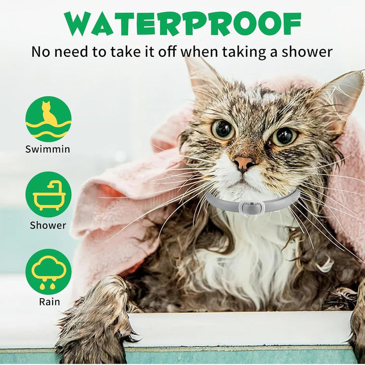 QLIGES Zgardă antipurici și căpușe pentru pisici, pachet de 4 zgărzi antipurici pentru pisici, protecție eficientă 24 de luni, protecție împotriva alergiilor cutanate, moale și confortabilă, reglabilă, impermeabilă, potrivită pentru toate pisicile