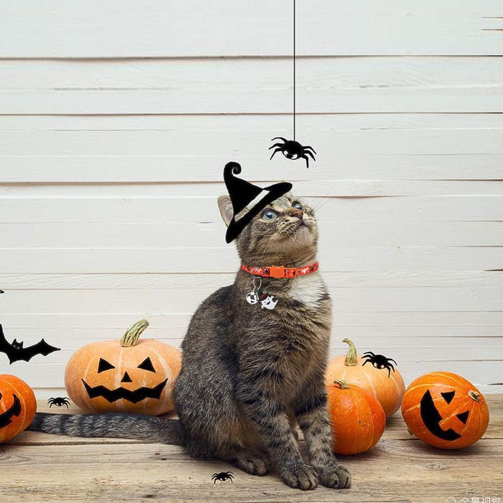 Zgardă pentru pisici de Halloween, set de 3, moale, reglabilă, cu clopoțel și pandantiv, pentru pisici și pisoi, imprimare prin transfer termic
