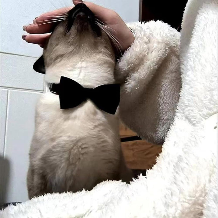 Zgardă personalizată pentru pisici, zgardă pentru pisici cu clopoțel și papion, accesorii personalizate pentru animale de companie, pisici, pui (negru, roșu)