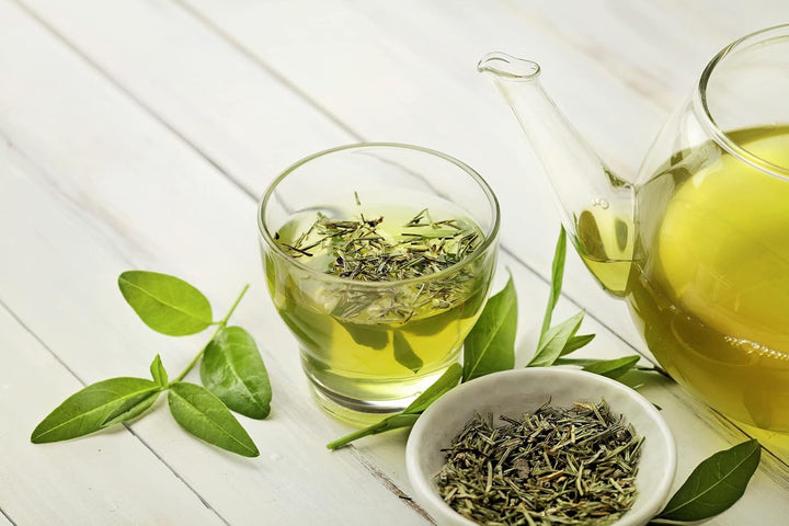 Meßmer Ceai verde fin | Frunze de ceai întregi | 150 g | Proaspăt și aromat | Vegan | Fără gluten | Fără lactoză