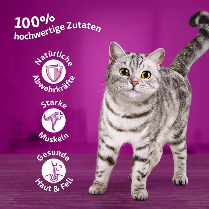 Whiskas 1 + Cat Food Poultry Selection in Jelly, 12X85G (4 pachete) - Hrană umedă de înaltă calitate pentru pisici adulte în 48 de plicuri