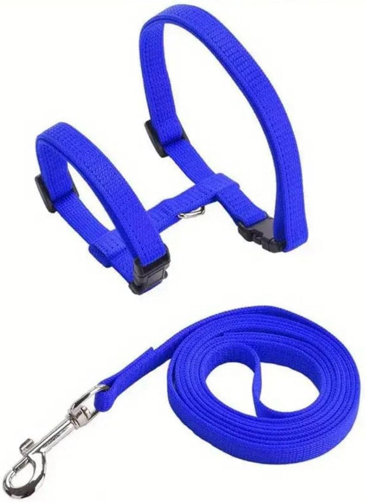 Pachet de 2 lese reglabile din nailon pentru pisici, ham pentru pisici, lesă pentru pisoi, zgardă pentru pisoi, ham moale pentru pisici cu lesă pentru pisoi, cățeluș, iepure (albastru și roz)