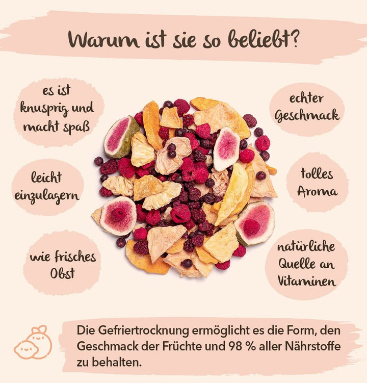 Brix Freeze-dried Fruit Fantastic Four (80g) - Preț bun gust, gustare delicioasă și sănătoasă, uscată crocantă, bogată în vitamine Produse deshidratate Naty Shop
