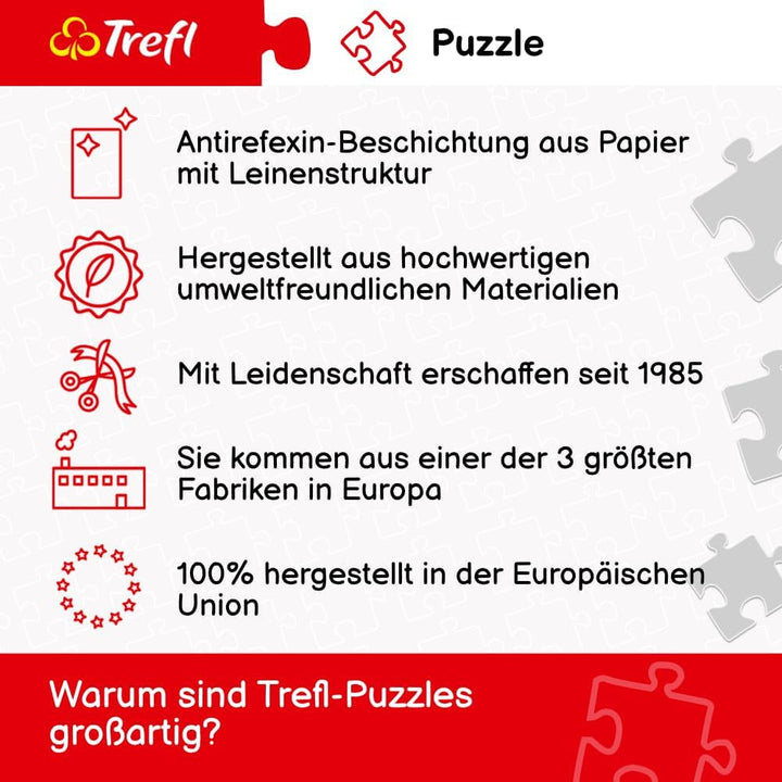 Puzzle 500 ierburi medicinale