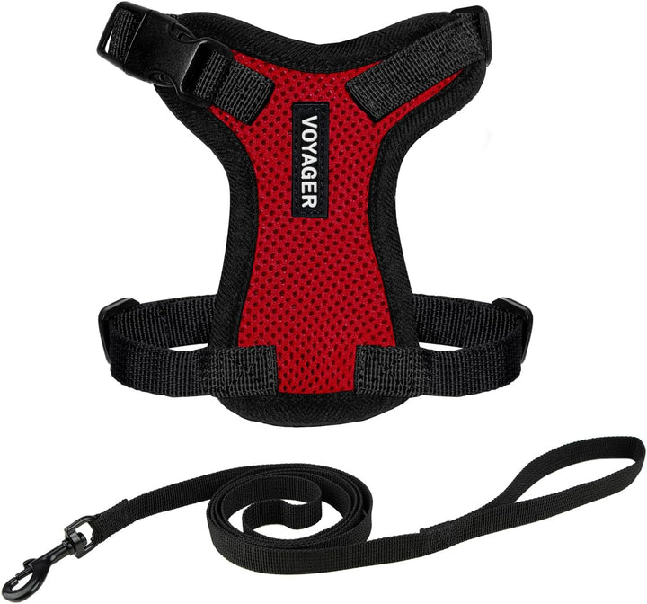 Kit Voyager, Ham anti-evadare pentru pisici cu lesă de 1,5 m, cusături reflectorizante, mâner din neopren, pentru pisici mici, medii și mari, garnitură verde lime/negru, mărimea XS