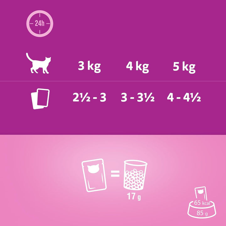 WHISKAS Aromatic Selection Multipack hrană umedă pentru pisici 1+, 40X85G - 4 arome: Porc, pui, somon, pește de mare în sos