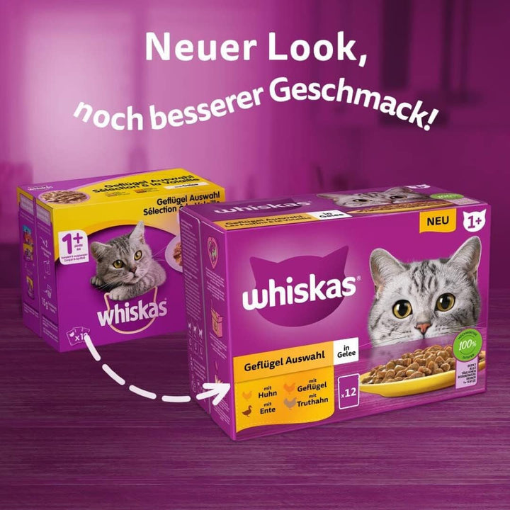 Whiskas 1 + Cat Food Poultry Selection in Jelly, 12X85G (4 pachete) - Hrană umedă de înaltă calitate pentru pisici adulte în 48 de plicuri