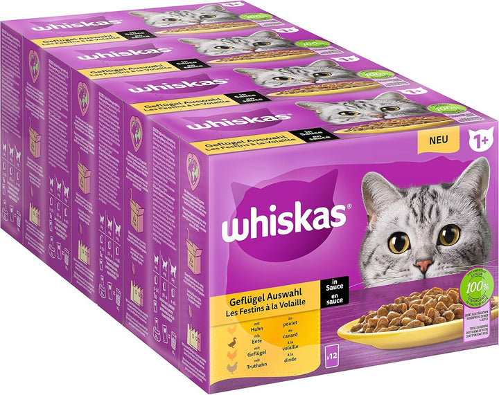 Whiskas 1 + Cat Food Poultry Selection in Jelly, 12X85G (4 pachete) - Hrană umedă de înaltă calitate pentru pisici adulte în 48 de plicuri