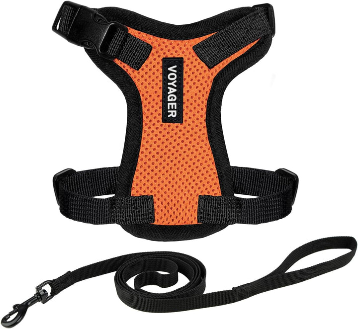 Kit Voyager, Ham anti-evadare pentru pisici cu lesă de 1,5 m, cusături reflectorizante, mâner din neopren, pentru pisici mici, medii și mari, garnitură verde lime/negru, mărimea XS