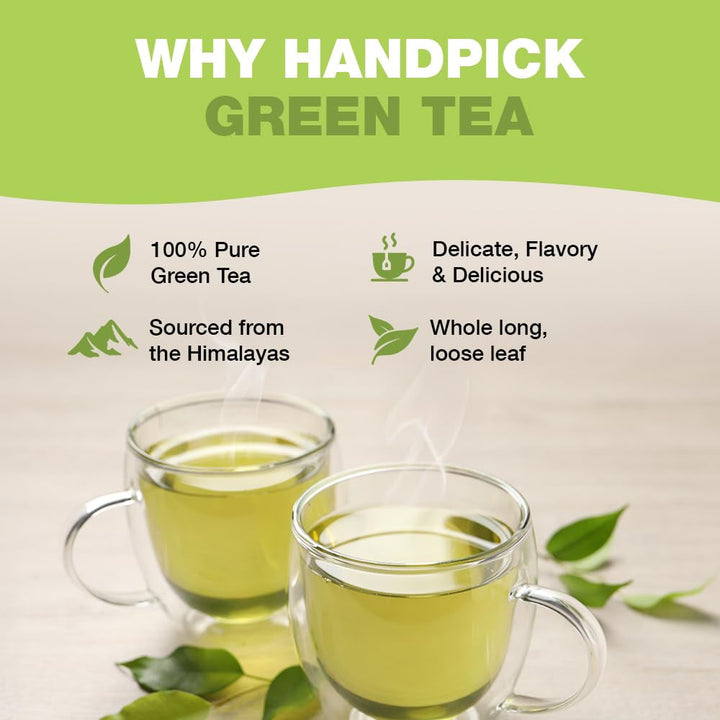 HANDPICK, pliculețe de ceai verde (100 pliculețe) Fără gluten și ceai verde pur | Pliculețe rotunde de ceai verde, fără adeziv, fără înălbitor, fără sfori | Ceai fierbinte/Kombucha sau infuzat la rece | Ceai verde