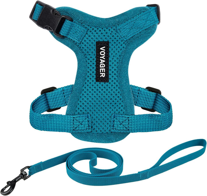 Kit Voyager, Ham anti-evadare pentru pisici cu lesă de 1,5 m, cusături reflectorizante, mâner din neopren, pentru pisici mici, medii și mari, garnitură verde lime/negru, mărimea XS