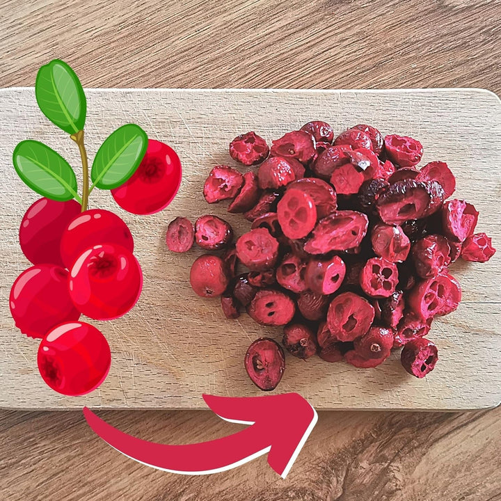 Merișoare liofilizate fără zahăr | XL 250g Merișoare liofilizate naturale neîndulcite | Fructe liofilizate naturale sălbatice | Merișoare liofilizate | ZingyZoo Produse deshidratate Naty Shop